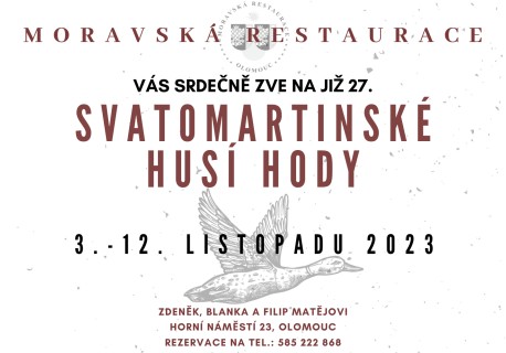 27-svatomartinske-husi-hody