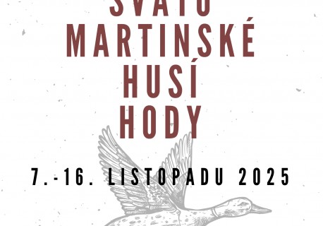 29-svatomartinske-husi-hody