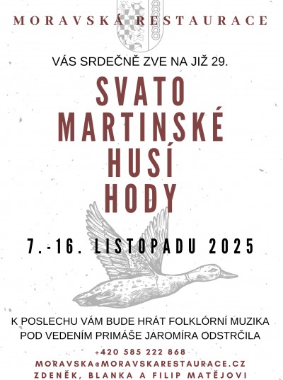 29-svatomartinske-husi-hody