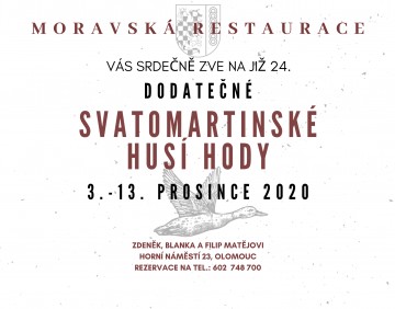 24-svatomartinske-husi-hody