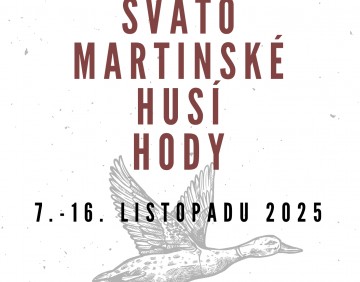 29-svatomartinske-husi-hody